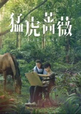猛虎蔷薇免费观看
