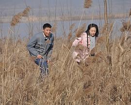 天鹅城之恋免费观看