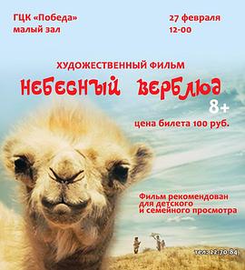 天上的骆驼免费观看