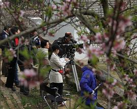 夫妻哨免费观看