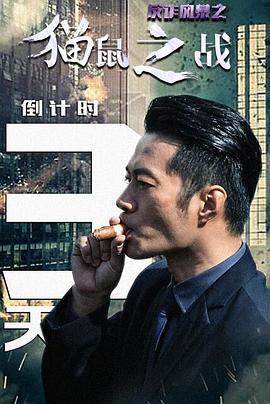反诈风暴之猫鼠之战免费观看