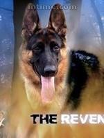 拉尔复仇记免费观看