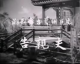 告亲夫免费观看