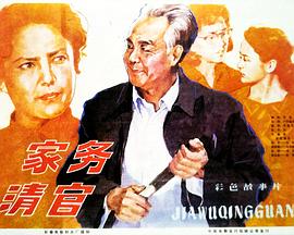 家务清官免费观看