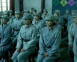 杜鹃花飞免费观看