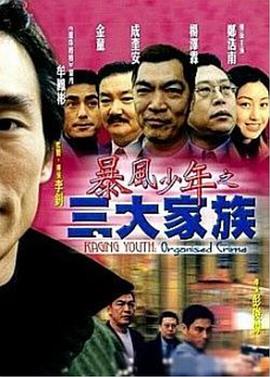 暴风少年之三大家族免费观看