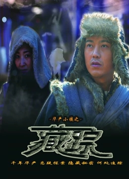 华严小镇2之藏踪免费观看