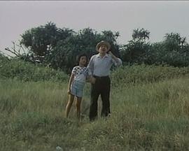 爱情相欠债免费观看