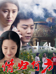 情归何方免费观看