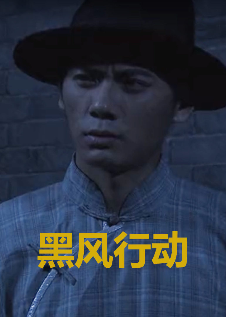 黑风计划免费观看