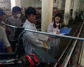 我和教授“羊粪豆”免费观看