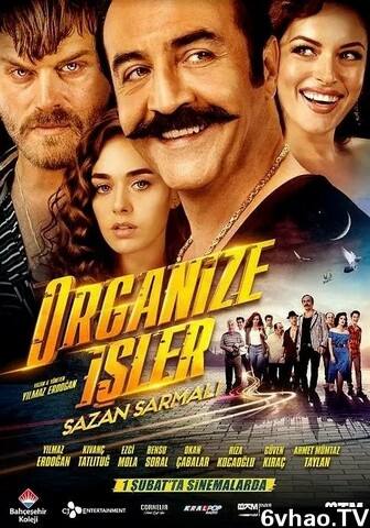 尔愚我诈2：连环骗免费观看