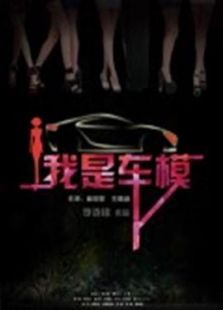 我是车模免费观看