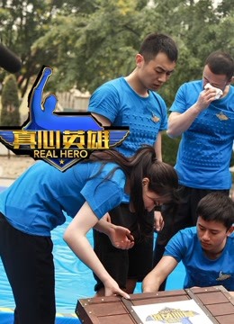 真心英雄之英雄前传免费观看