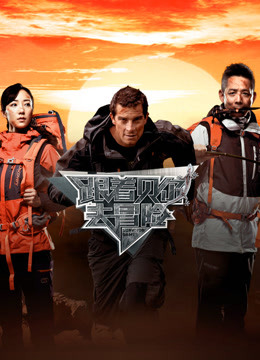 跟着贝尔去冒险免费观看