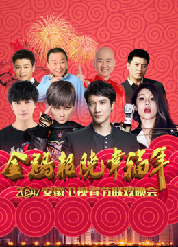 2017安徽卫视春晚免费观看