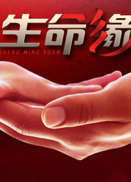 生命缘第5季免费观看