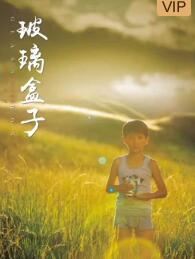 玻璃盒子2020免费观看