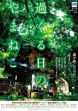 往日的山猫免费观看