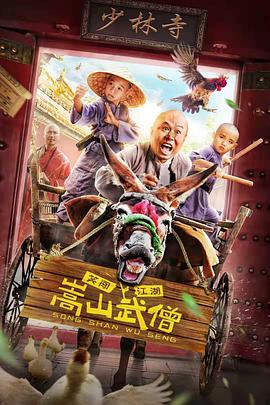 嵩山武僧免费观看