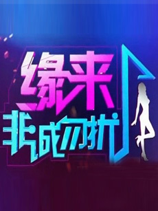 非诚勿扰免费观看