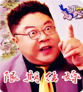 限期结婚免费观看