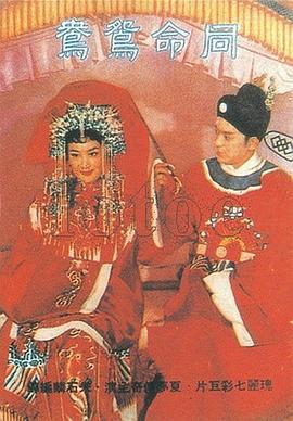 同命鸳鸯免费观看