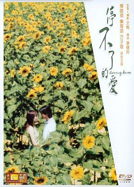 停不了的爱免费观看