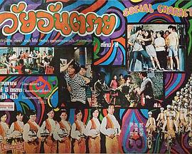 飞男飞女免费观看