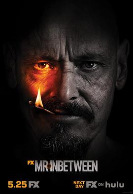 中间人先生 第三季免费观看