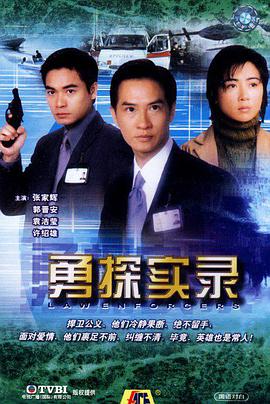 勇探实录国语免费观看