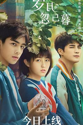 岁月忽已暮免费观看