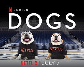 爱犬情深第二季免费观看