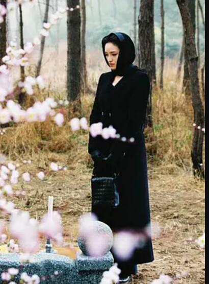 春花秋月免费观看