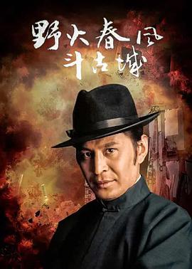 野火春风斗古城免费观看