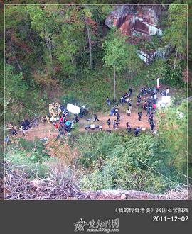 我的土匪老婆免费观看