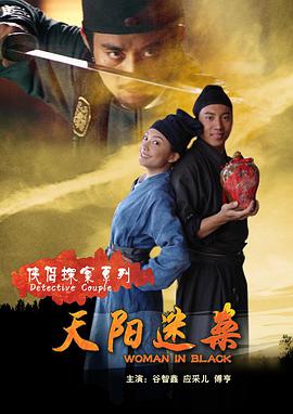 侠侣探案系列之天阳迷案免费观看