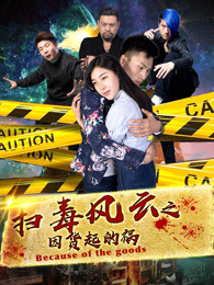 扫毒风云之因货起的祸免费观看