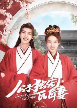 公子独宠瓦匠妻免费观看