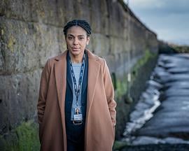 迷失海湾 第三季免费观看