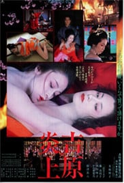 吉原炎上之东京妓院免费观看