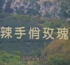 辣手俏玫瑰免费观看