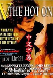 V娘的故事/热辣V宝贝免费观看