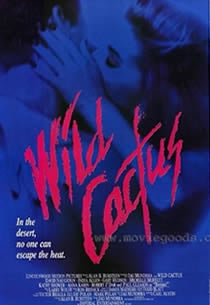 野生仙人掌免费观看