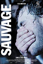 野性/野放动物免费观看