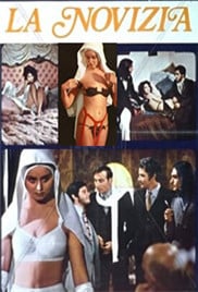 初学修女免费观看