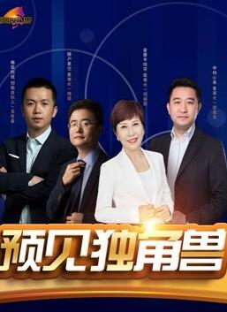 创客英雄会之预见独角兽免费观看