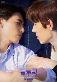 为爱绽放免费观看