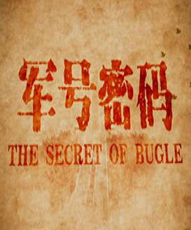 军号密码免费观看