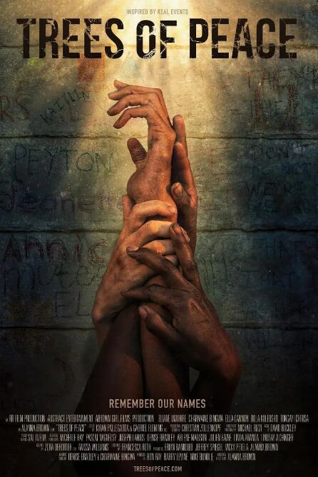 和平树免费观看